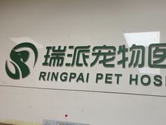 -瑞派天宁宠物医院·猫科·异宠中心