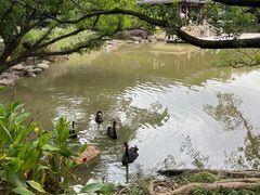 -江心屿景区