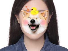 -小树照相馆·证件照(打浦桥店)