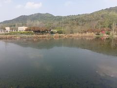 -石塘人家