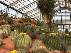 -南通洲际绿博园