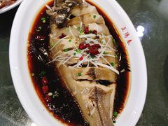 清蒸鲈鱼-正阳春鸭子楼(汉沽店)