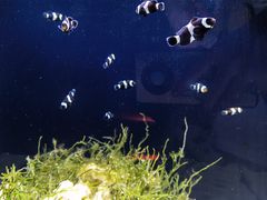 -沈阳海洋探索中心