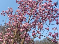 -玄武湖景区-情侣园游乐场