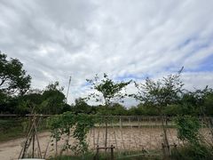 -金稼园·金平湖农家菜