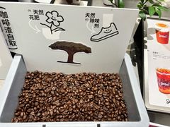 -Seesaw Coffee(西岸凤巢店)