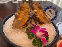 -东海怡品海鲜豆捞(舟宿夜江店)