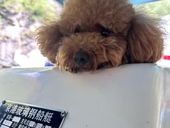 -双龙峡
