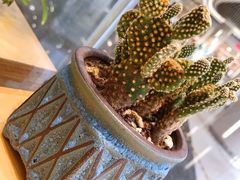 -天友生活(恒大中渝广场店)