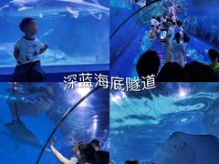 -重庆欢乐海底世界