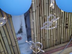 -天空花园餐吧·生日·团建(南山店)