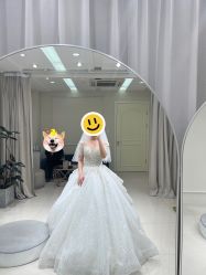 -LOVE SHINE婚纱·红鼎庄龙凤褂·妈妈装定制
