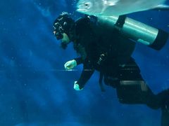 -上海海洋水族馆