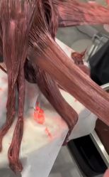 -KK Hair—尚影