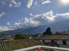 -喵屿·大理花园猫咖