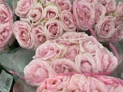 -麦德龙(张家港店)