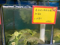 水产区-蚝专家(北滘店)