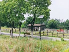 -田园东方蜜桃村的田野营地