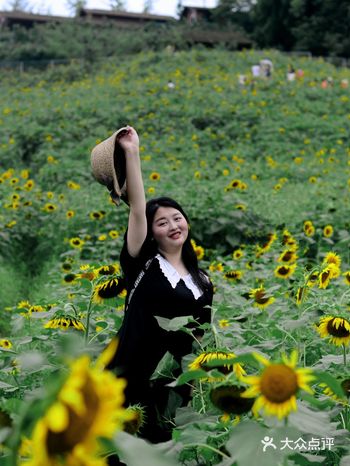 重庆夏天去哪里? || 北碚区向日葵免费拍照