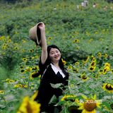 重庆夏天去哪里? || 北碚区向日葵免费拍照