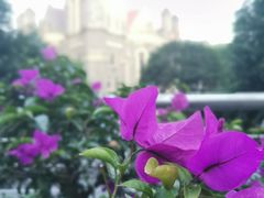 -重庆市江北嘴中央商务区中央公园