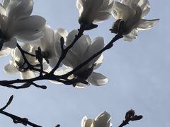 -南京大牌档(淮安吾悦广场店)