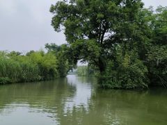 -西溪国家湿地公园