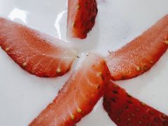 -糕小爱动物奶油生日蛋糕定制(晋江万达店)