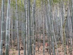 -石台牯牛降景区