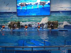 -多彩贵州城极地海洋世界