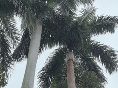 -广州市白云山风景名胜区