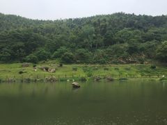 -梅岭月亮湾山体公园