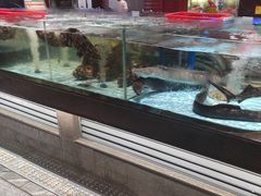 -阿伟海鲜楼·福建菜(延寿店)