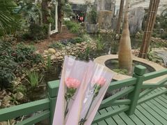 -上海鲜花港