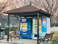 -枫花园汽车电影院(朝阳公园店)