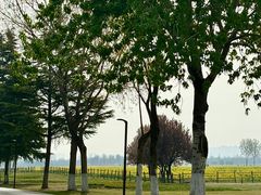 -汉长安城未央宫国家考古遗址公园