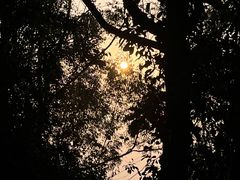 -火炉山森林公园