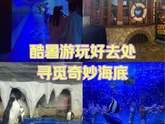 -太平洋海底世界