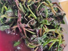 清炒时蔬-老字号怡玺·藿香雅鱼(20年雅安店)