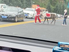 -塞罕坝国家级自然保护区