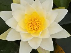 -洛阳市隋唐城遗址植物园