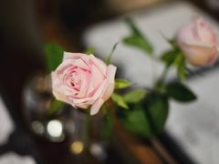 -1861意大利餐厅(文化广场店)