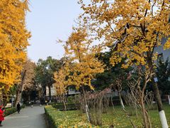 -四川大学(望江校区)