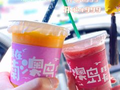 -南澳岛打卡果汁冰公司