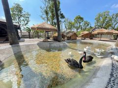 -珠海海泉湾神秘岛亲子乐园