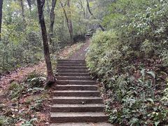 -九曜山