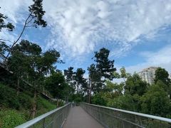-狐尾山公园