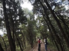 -金堂县云顶石城风景区
