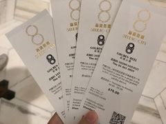 -影汇之星8字形摩天轮