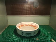 -上海大自然野生昆虫馆